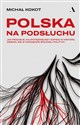 Polska na podsłuchu Jak Pegasus, najpotężniejszy szpieg w historii, zmienił się w narzędzie brudnej polityki - Michał Kokot