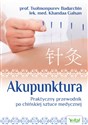Akupunktura Praktyczny przewodnik po chińskiej sztuce medycznej - Tsolmonpurev Badarchin, Khandaa Galsan
