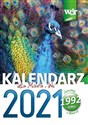 Kalendarz dla Miasta i Wsi 2021 online polish bookstore