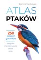 Atlas ptaków - Dominik Marchowski