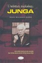 Podstawy psychologii Junga Od psychologii głębi do psychologii integralnej  