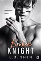 Broken Knight All Saints High Tom 2 books in polish