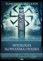 Mitologia słowiańska i polska - Aleksander Brückner