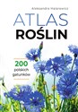 Atlas roślin - Aleksandra Halarewicz