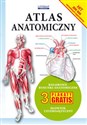 Atlas anatomiczny Kolorowe rysunki anatomiczne. 3 plakaty gratis. Słownik czterojęzyczny - 