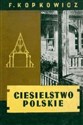 Ciesielstwo polskie reprint - Franciszek Kopkowicz