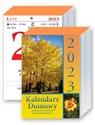 Kalendarz 2023 KL04 domowy zdzierak Polish bookstore
