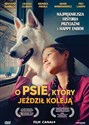 O psie, który jeździł koleją DVD  - Magdalena Niec
