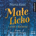 CD MP3 Małe Licho i anioł z kamienia Polish Books Canada