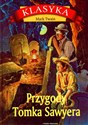 Przygody Tomka Sawyera Polish Books Canada