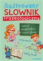 Ilustrowany słownik frazeologiczny books in polish