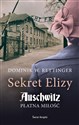 Sekret Elizy. Auschwitz. Płatna miłość (wydanie pocketowe) pl online bookstore
