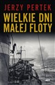 Wielkie dni małej floty  