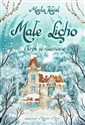 Małe Licho i krok w nieznane online polish bookstore