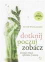 Dotknij poczuj zobacz. Fenomen relacji człowieka z naturą buy polish books in Usa