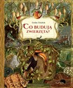 Co budują zwierzęta? buy polish books in Usa