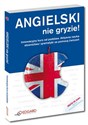 Angielski nie gryzie! z płytą CD Innowacyjny kurs od podstaw chicago polish bookstore