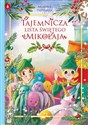 Tajemnicza lista Świętego Mikołaja - Ariadna Piepiórka